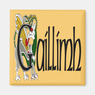 Galway (gälisch) Magnet