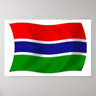 Gambia Flag Poster Print