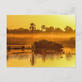 Gambia Sunrise Postcard Postkarte