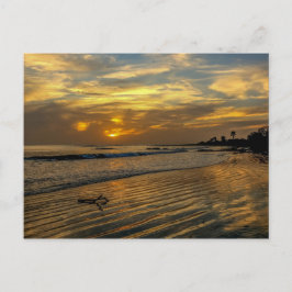 Gambia Sunset Postcard Postkarte