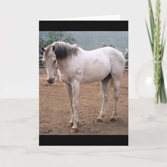 Gamblers Way Karte (Vorderseite)