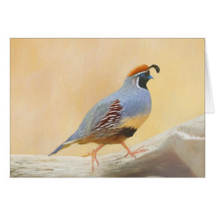 Gambrel's Quail Painting Original Bird Art