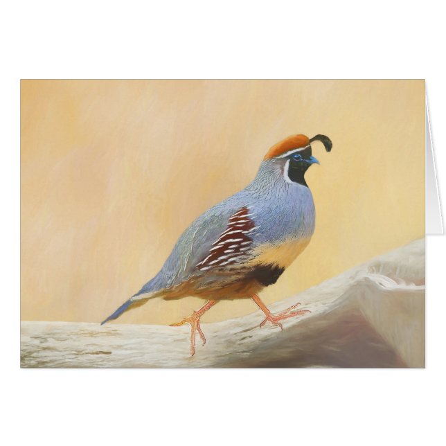 Gambrel's Quail Painting Original Bird Art (Vorderseite (Horizontal))