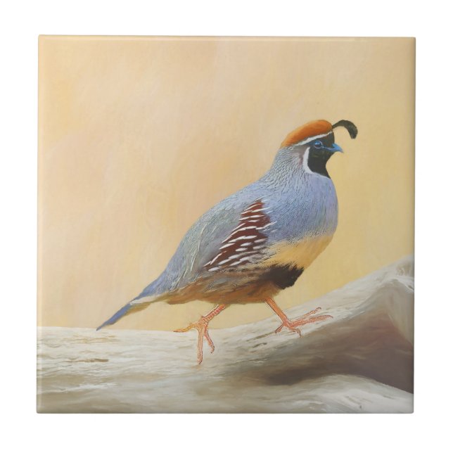 Gambrel's Quail Painting Original Bird Art Fliese (Vorderseite)