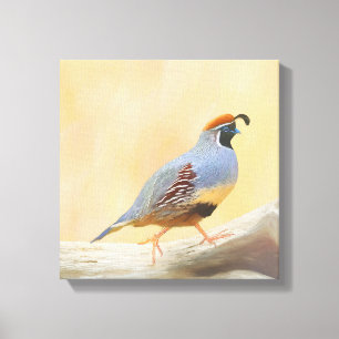 Gambrel's Quail Painting Original Bird Art Leinwanddruck