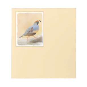 Gambrel's Quail Painting Original Bird Art Notizblock