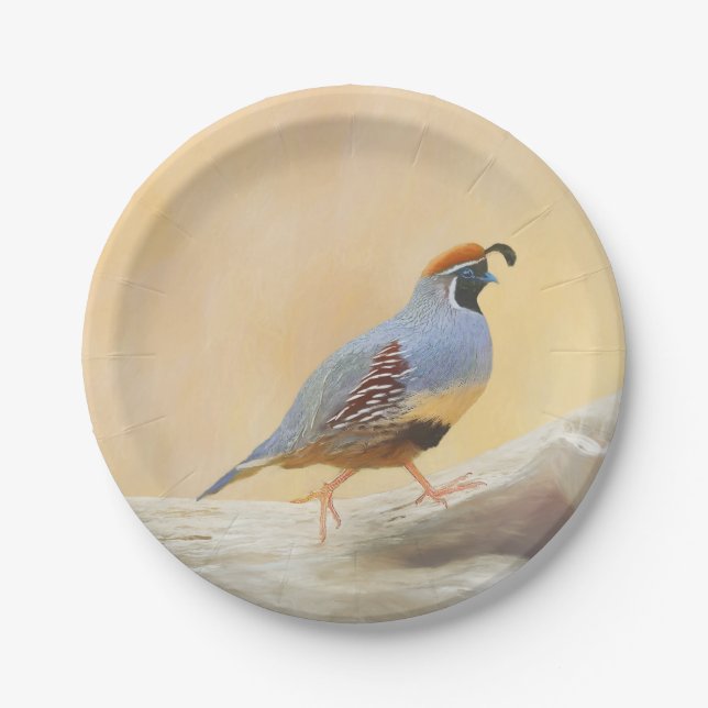 Gambrel's Quail Painting Original Bird Art Pappteller (Vorderseite)