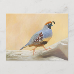 Gambrel's Quail Painting Original Bird Art Postkarte