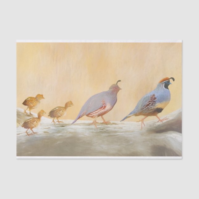 Gambrel's Quail Painting Original Bird Art Seidenpapier (Vorderseite)