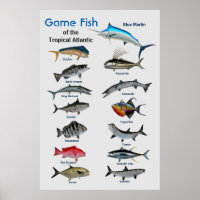Game-Fische des Poster des tropischen Atlantiks