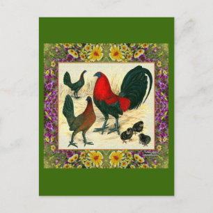 Game Fowl Flowframe Postkarte