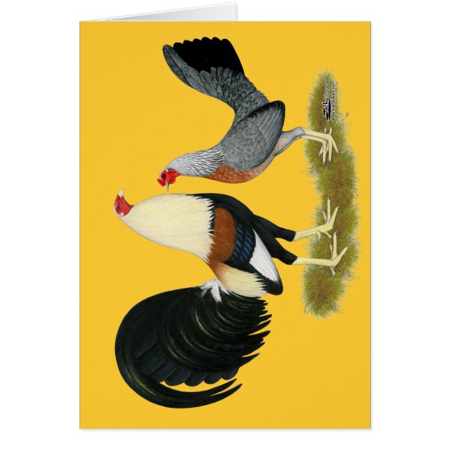 Game Fowl Pair (Vorne)