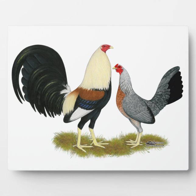 Game Fowl Pair Fotoplatte (Vorderseite)