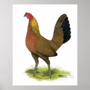 Game Hen: Pea-Combed Poster