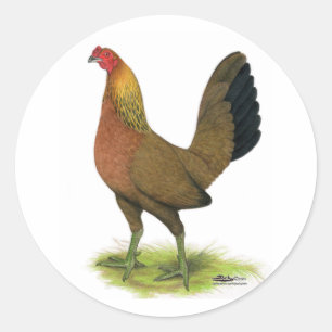 Game Hen: Pea-Combed Runder Aufkleber