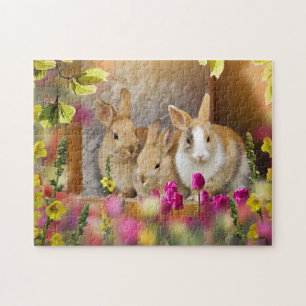 Game Puzzle-Bunnies Puzzle