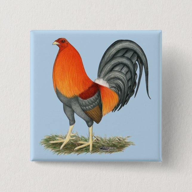 Gamecock Blue Red Rooster Button (Vorderseite)