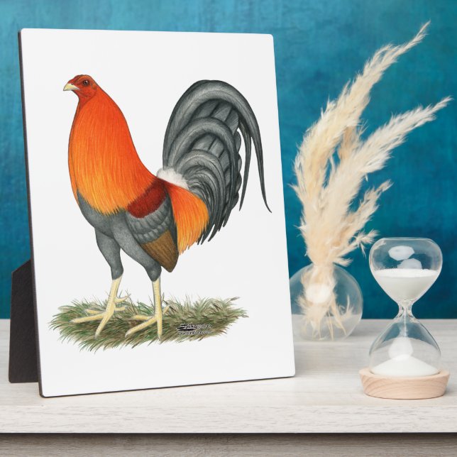 Gamecock Blue Red Rooster Fotoplatte (Seite)