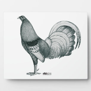 Gamecock Crele oder Dom Fotoplatte