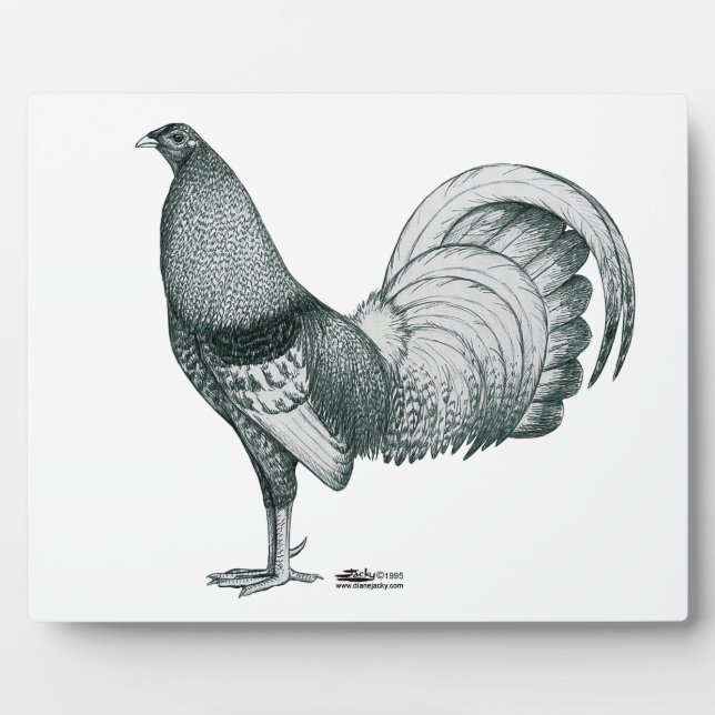 Gamecock Crele oder Dom Fotoplatte (Vorderseite)