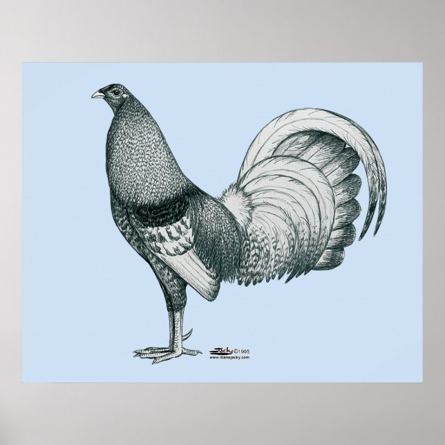 Gamecock Crele oder Dom Poster (Vorne)