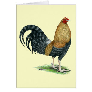 Gamecock: Dom oder Crele