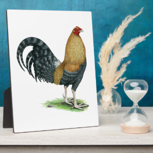 Gamecock: Dom oder Crele Fotoplatte