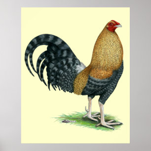 Gamecock: Dom oder Crele Poster