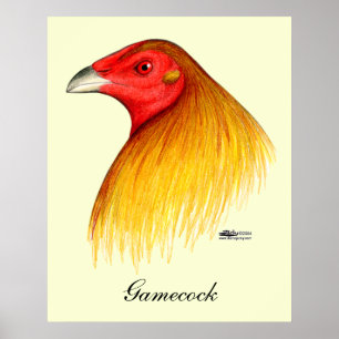 Gamecock Dubbed Poster