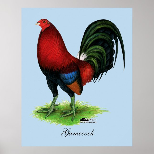 Gamecock: Dunkelrot Poster (Vorne)