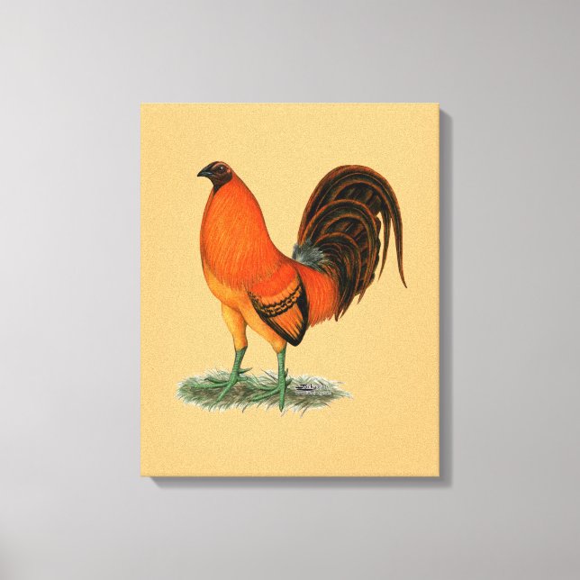 Gamecock Ginger Red Rooster Leinwanddruck (Vorderseite)