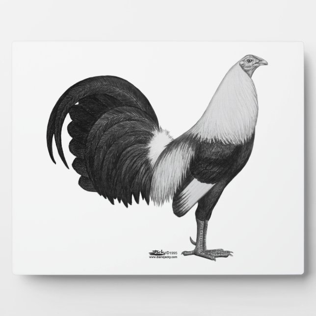 Gamecock Gray Duckwing Fotoplatte (Vorderseite)