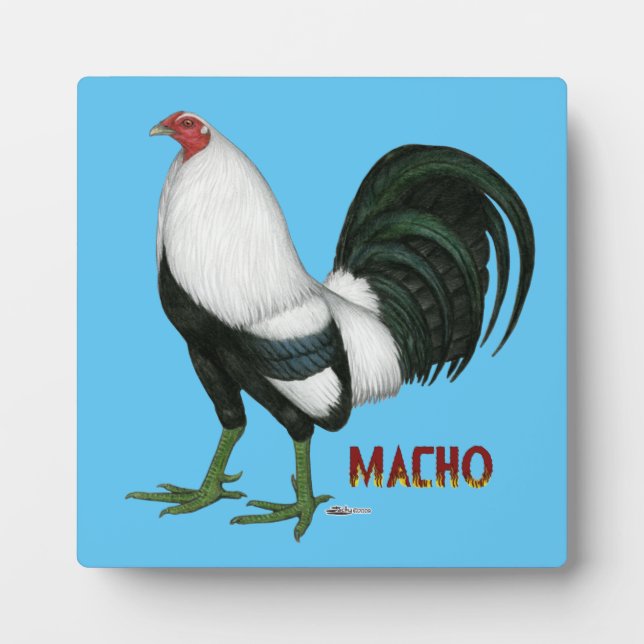 Gamecock Macho Duckwing Fotoplatte (Vorderseite)