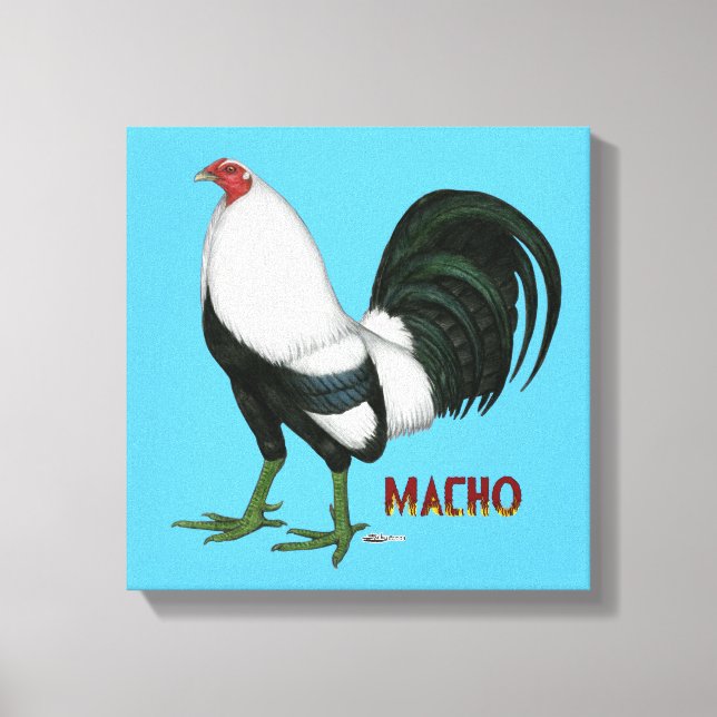 Gamecock Macho Duckwing Leinwanddruck (Vorderseite)