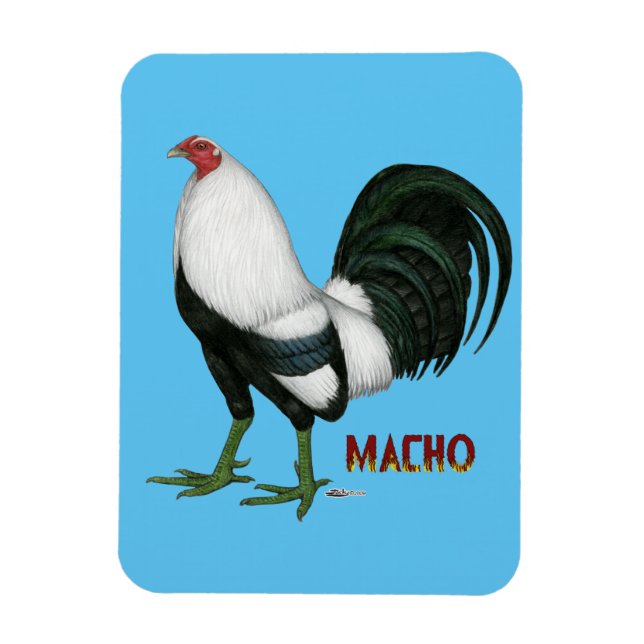 Gamecock Macho Duckwing Magnet (Vertikal)
