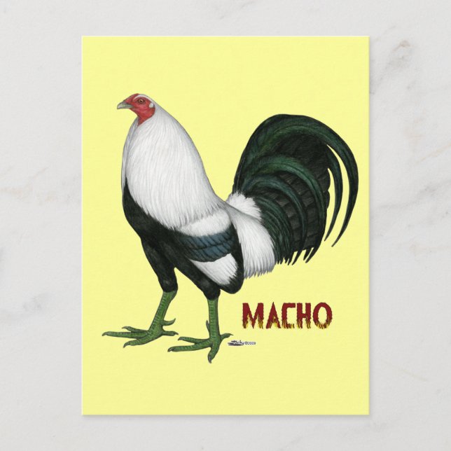 Gamecock Macho Duckwing Postkarte (Vorderseite)