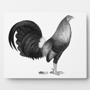 Gamecock Red Hatch Fotoplatte