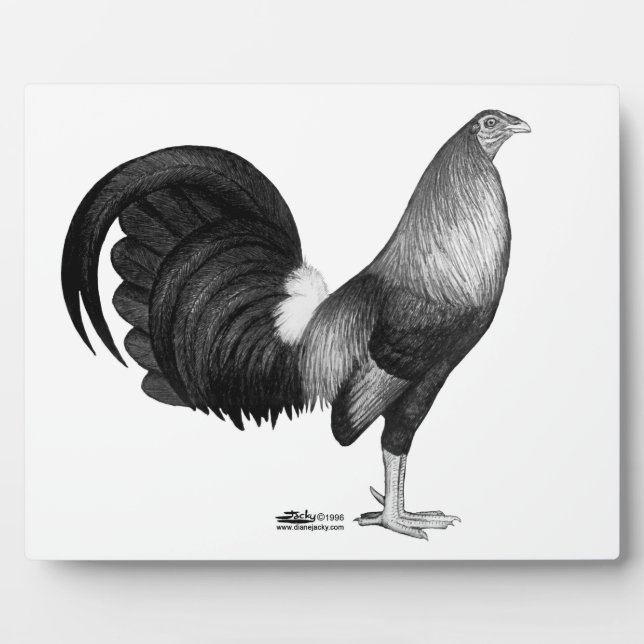 Gamecock Red Hatch Fotoplatte (Vorderseite)