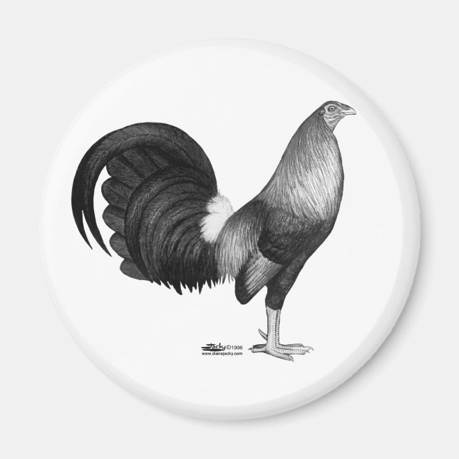 Gamecock Red Hatch Magnet (Vorne)