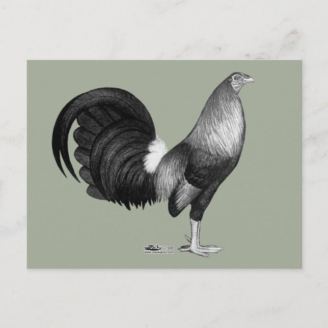 Gamecock Red Hatch Postkarte (Vorderseite)