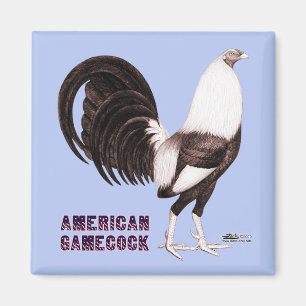 Gamecock Sepia Magnet