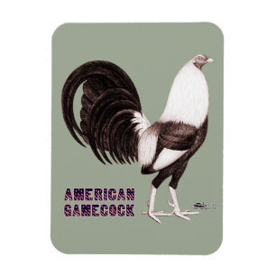 Gamecock Sepia Magnet