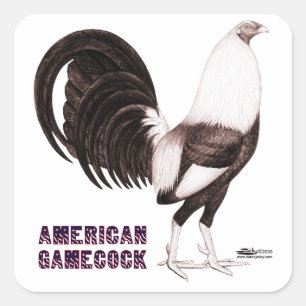 Gamecock Sepia Quadratischer Aufkleber