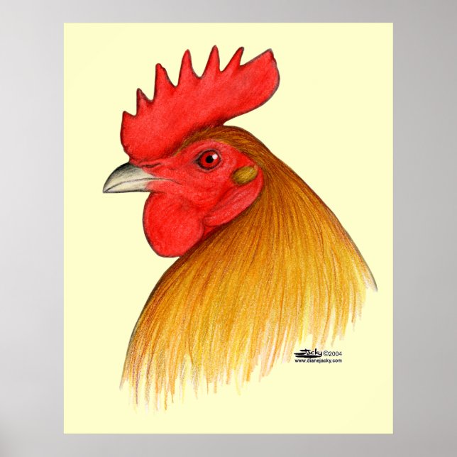Gamecock Stag Single Comb Poster (Vorne)