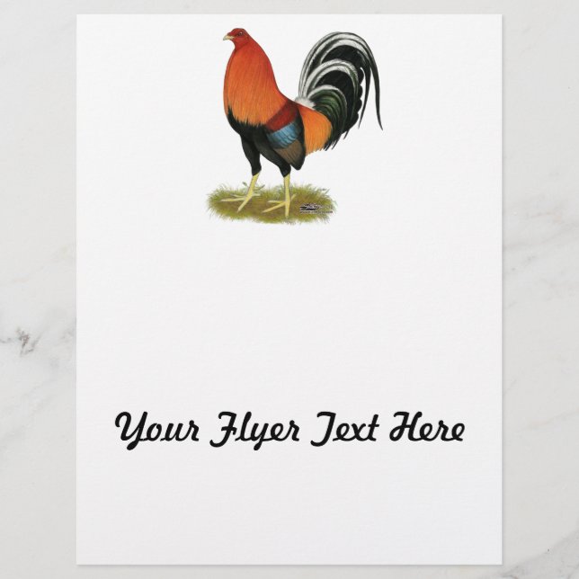 Gamecock Wheaten Rooster Flyer (Vorne)