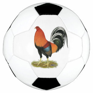 Gamecock Wheaten Rooster Fußball