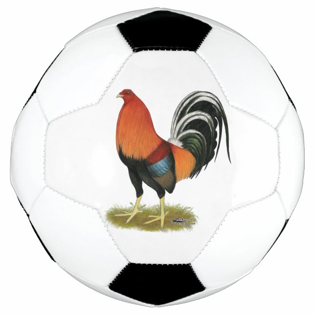 Gamecock Wheaten Rooster Fußball (Vorderseite)