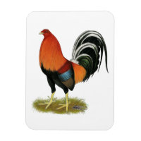 Gamecock Wheaten Rooster