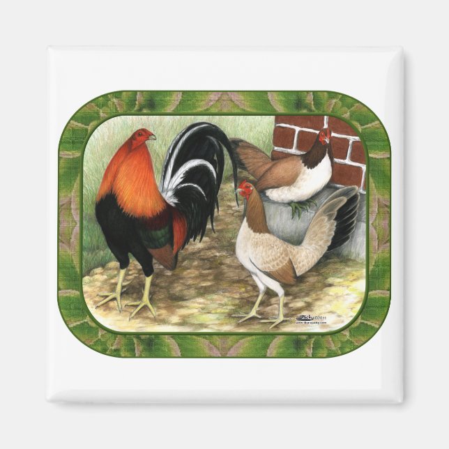 Gamefowl im Betrieb Magnet (Vorne)