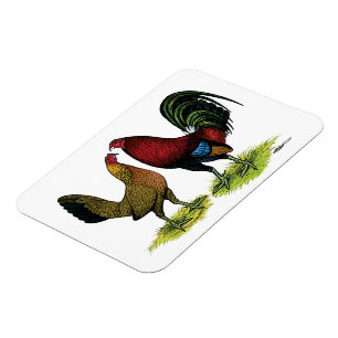 Gamefowl Pair Magnet